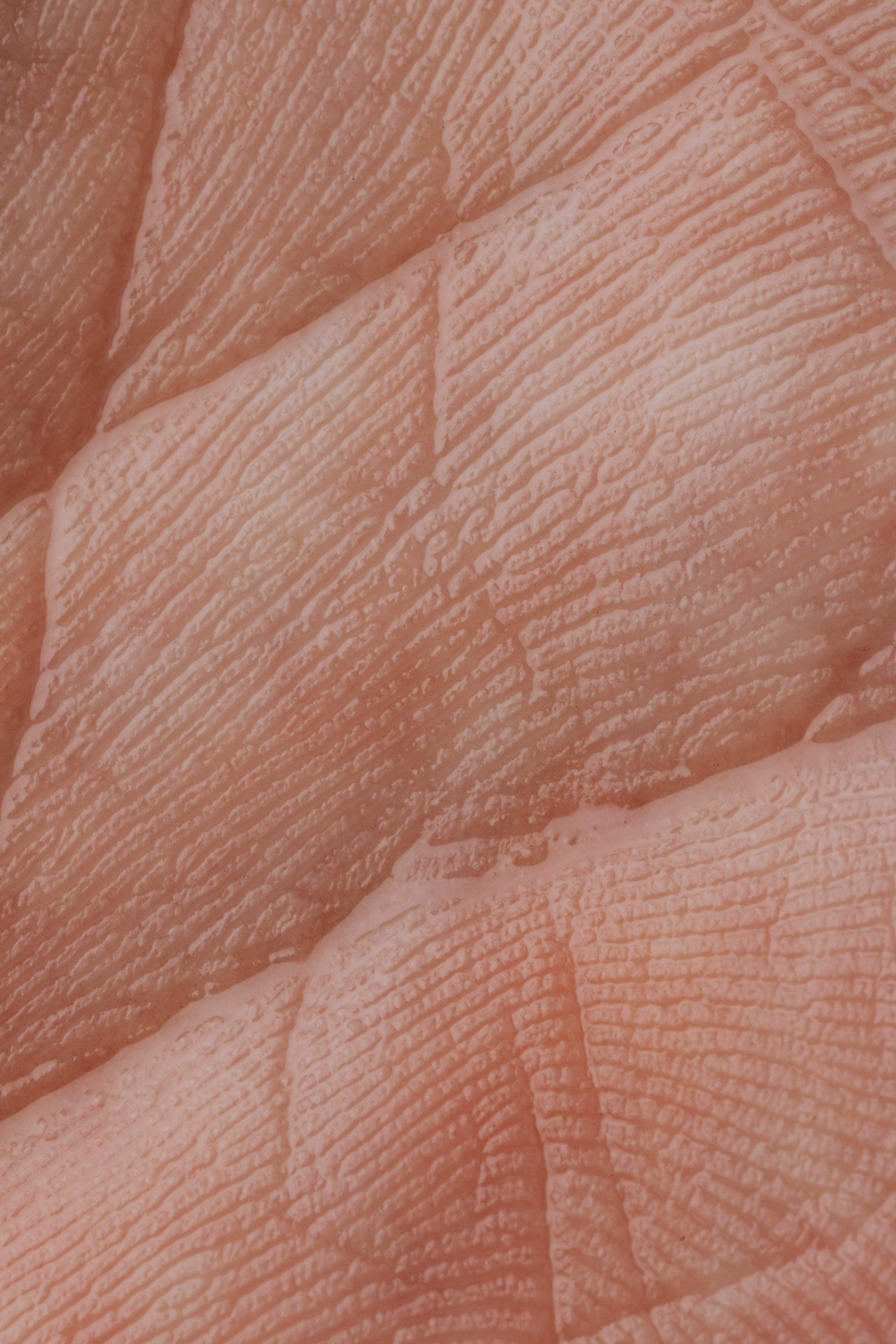 Explained: what is the skin microbiome? - fjör