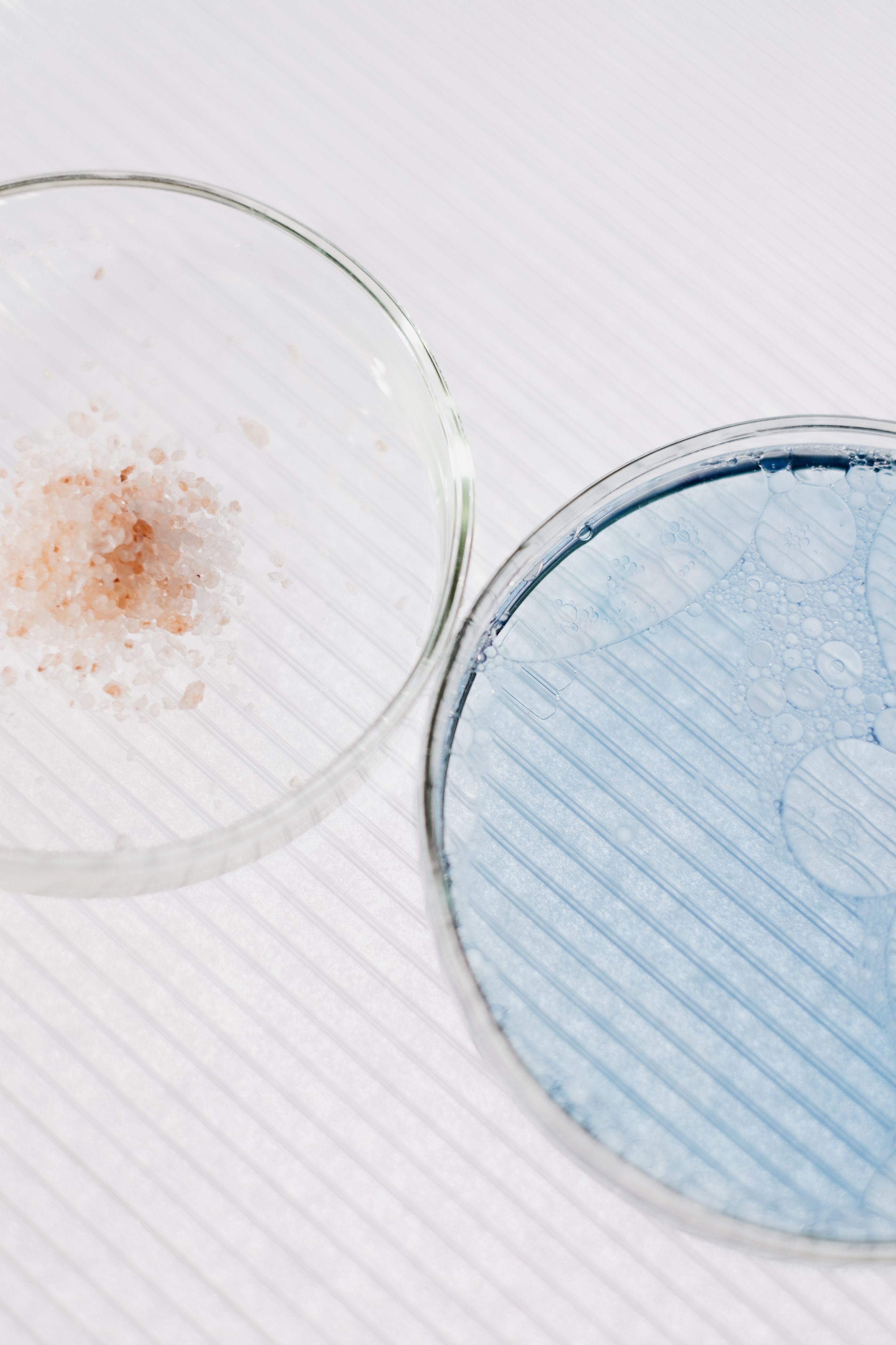Skin Health Masterclass: the Microbiome