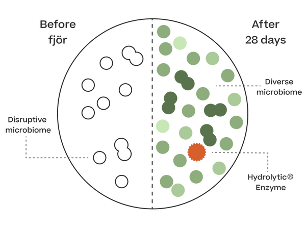 Hydrolytic® Enzyme
