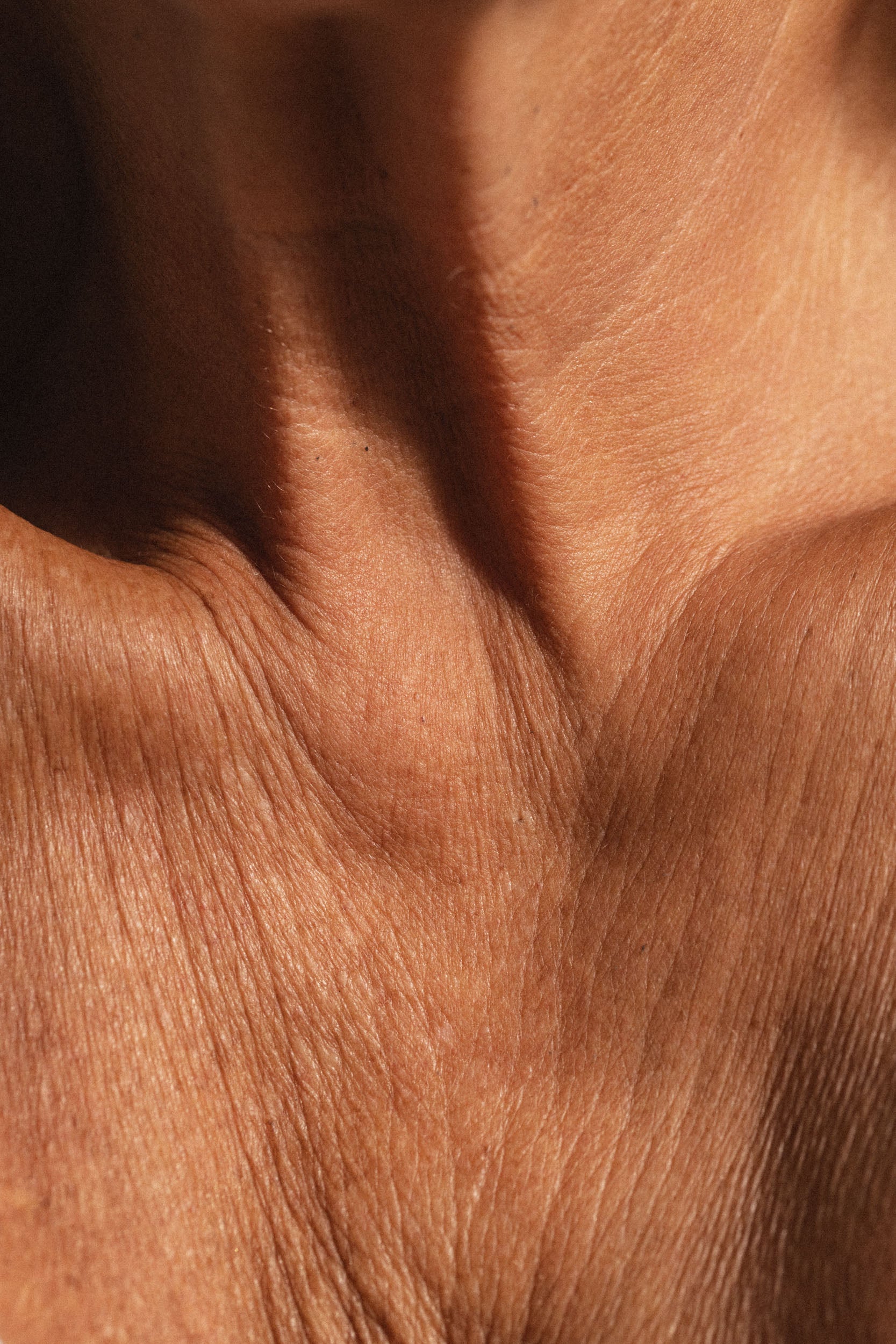 Skin Handbook: Smoothing Fine Lines and Wrinkles with fjör