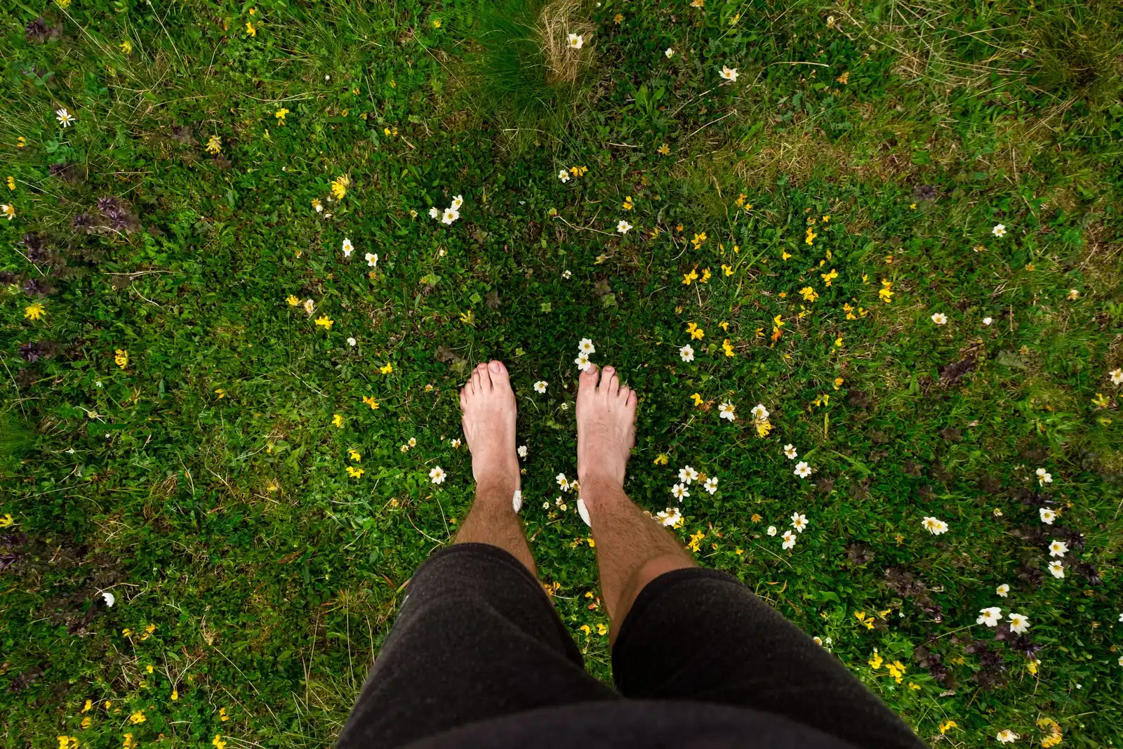Looking down at bare feet standing in a grassy meadow with small white flowers